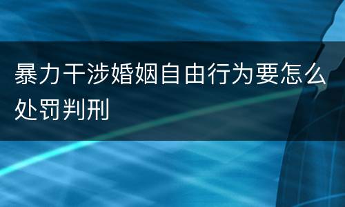 暴力干涉婚姻自由行为要怎么处罚判刑
