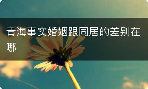 青海事实婚姻跟同居的差别在哪