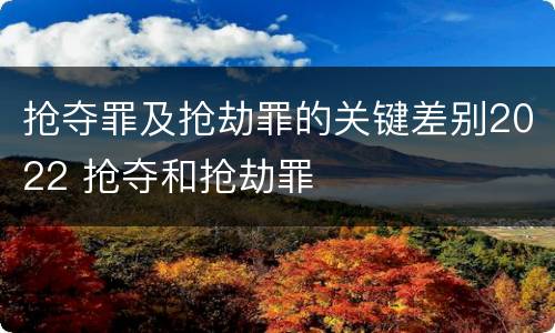 抢夺罪及抢劫罪的关键差别2022 抢夺和抢劫罪