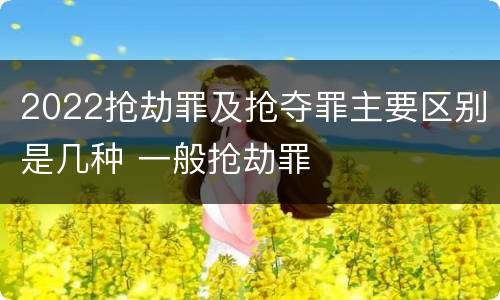 2022抢劫罪及抢夺罪主要区别是几种 一般抢劫罪