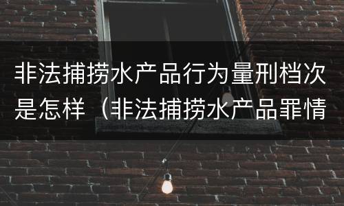 非法捕捞水产品行为量刑档次是怎样（非法捕捞水产品罪情节严重标准）