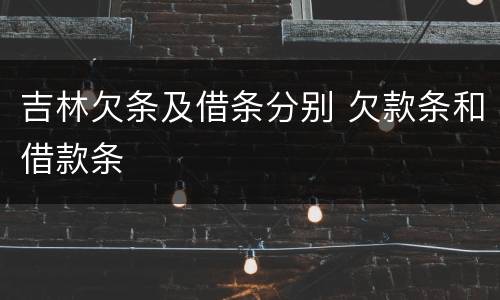 吉林欠条及借条分别 欠款条和借款条