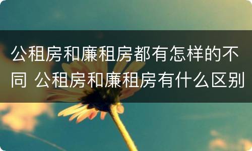 公租房和廉租房都有怎样的不同 公租房和廉租房有什么区别吗
