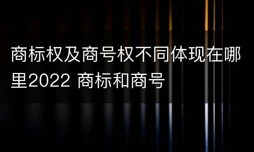 商标权及商号权不同体现在哪里2022 商标和商号