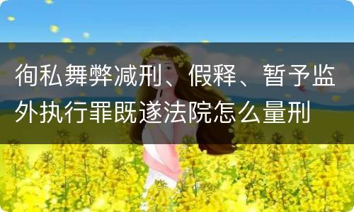 徇私舞弊减刑、假释、暂予监外执行罪既遂法院怎么量刑