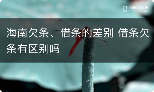 海南欠条、借条的差别 借条欠条有区别吗
