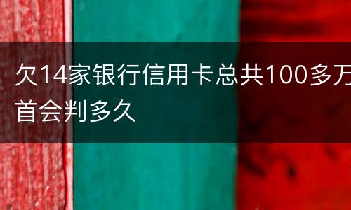 欠14家银行信用卡总共100多万首会判多久