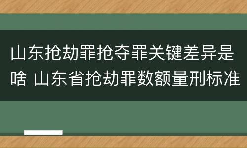 山东抢劫罪抢夺罪关键差异是啥 山东省抢劫罪数额量刑标准