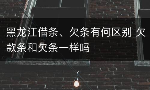 黑龙江借条、欠条有何区别 欠款条和欠条一样吗