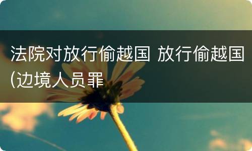 法院对放行偷越国 放行偷越国(边境人员罪