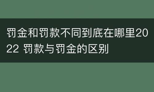 罚金和罚款不同到底在哪里2022 罚款与罚金的区别