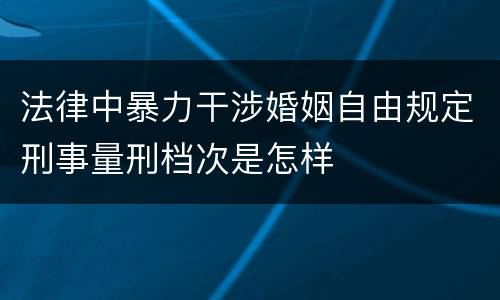 法律中暴力干涉婚姻自由规定刑事量刑档次是怎样