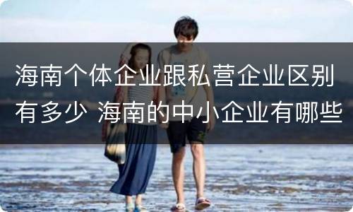 海南个体企业跟私营企业区别有多少 海南的中小企业有哪些