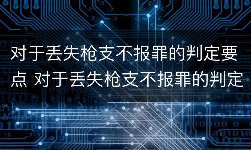 对于丢失枪支不报罪的判定要点 对于丢失枪支不报罪的判定要点有哪些