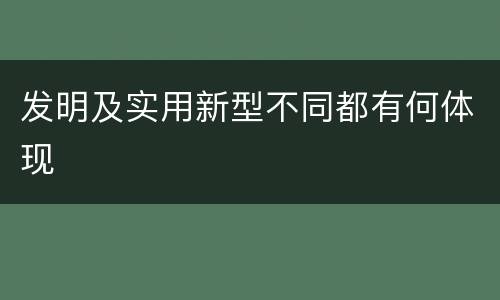 发明及实用新型不同都有何体现