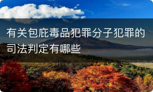 有关包庇毒品犯罪分子犯罪的司法判定有哪些
