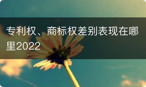 专利权、商标权差别表现在哪里2022