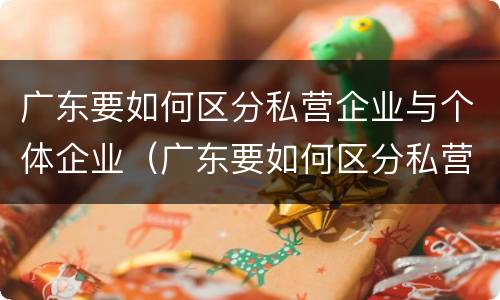广东要如何区分私营企业与个体企业（广东要如何区分私营企业与个体企业的区别）