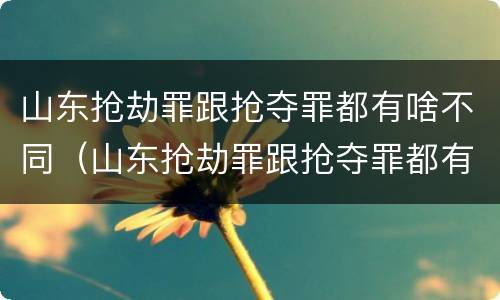 山东抢劫罪跟抢夺罪都有啥不同（山东抢劫罪跟抢夺罪都有啥不同呢）
