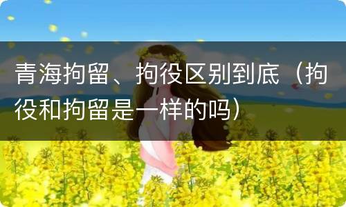 青海拘留、拘役区别到底（拘役和拘留是一样的吗）