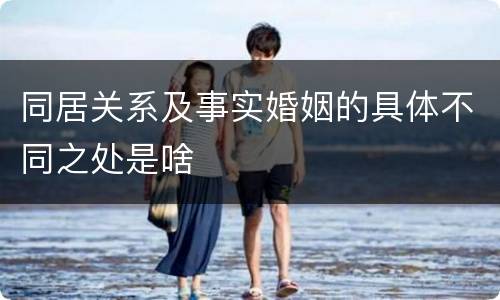 同居关系及事实婚姻的具体不同之处是啥