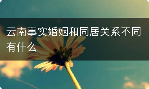 云南事实婚姻和同居关系不同有什么