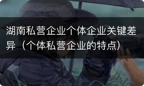 湖南私营企业个体企业关键差异（个体私营企业的特点）