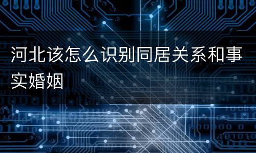 河北该怎么识别同居关系和事实婚姻