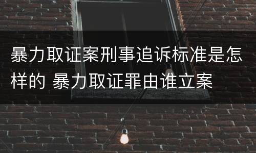 暴力取证案刑事追诉标准是怎样的 暴力取证罪由谁立案