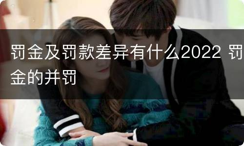 罚金及罚款差异有什么2022 罚金的并罚