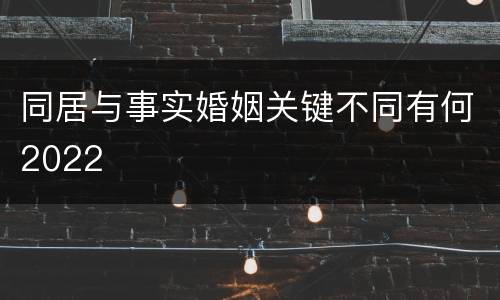 同居与事实婚姻关键不同有何2022