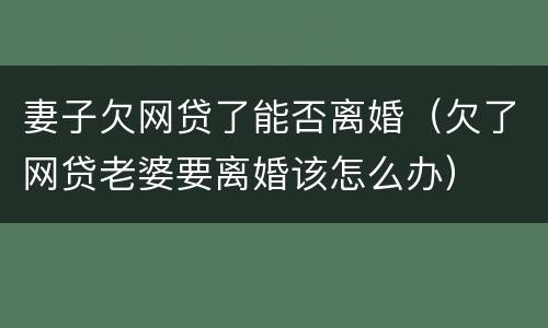 妻子欠网贷了能否离婚（欠了网贷老婆要离婚该怎么办）