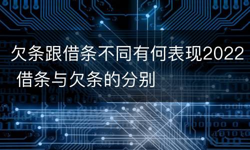 欠条跟借条不同有何表现2022 借条与欠条的分别