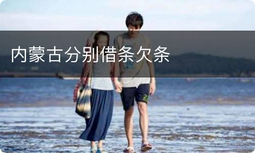 内蒙古分别借条欠条