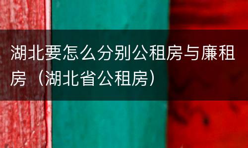 湖北要怎么分别公租房与廉租房（湖北省公租房）
