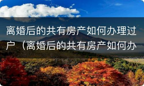 离婚后的共有房产如何办理过户（离婚后的共有房产如何办理过户登记）