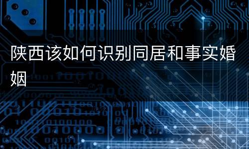 陕西该如何识别同居和事实婚姻