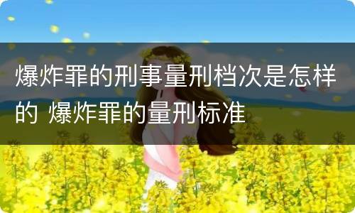 爆炸罪的刑事量刑档次是怎样的 爆炸罪的量刑标准