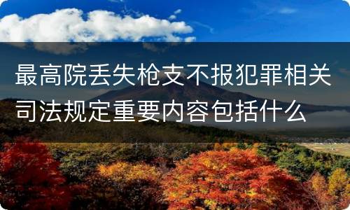 最高院丢失枪支不报犯罪相关司法规定重要内容包括什么