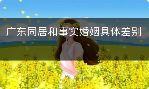广东同居和事实婚姻具体差别