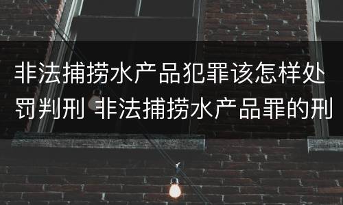 非法捕捞水产品犯罪该怎样处罚判刑 非法捕捞水产品罪的刑法处罚