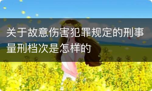 关于故意伤害犯罪规定的刑事量刑档次是怎样的