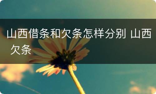 山西借条和欠条怎样分别 山西 欠条