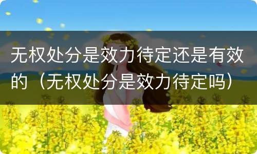 无权处分是效力待定还是有效的（无权处分是效力待定吗）