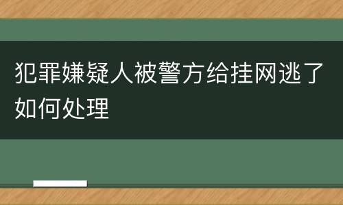 犯罪嫌疑人被警方给挂网逃了如何处理