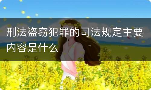 刑法盗窃犯罪的司法规定主要内容是什么