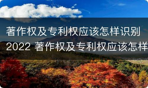 著作权及专利权应该怎样识别2022 著作权及专利权应该怎样识别2022年年度