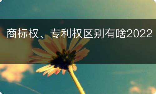 商标权、专利权区别有啥2022