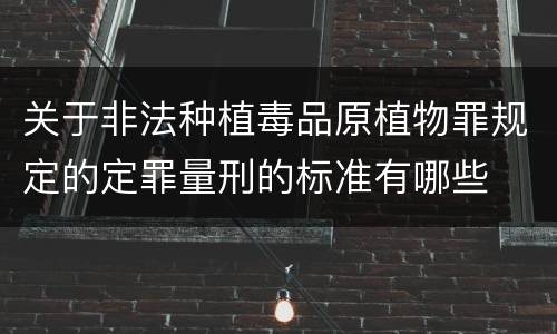 2022专利权跟商标权到底有啥差异（商标权和知识产权的区别）