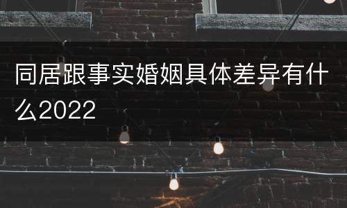 同居跟事实婚姻具体差异有什么2022